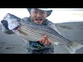 BEST STRIPED BASS CATCH AND COOK | Vietnamese Style Dish