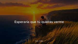 Ladrones x Yng Naz • Nunca Quise Irme ─ lyrics