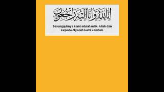 Allahyarham Zulkifli Ismail