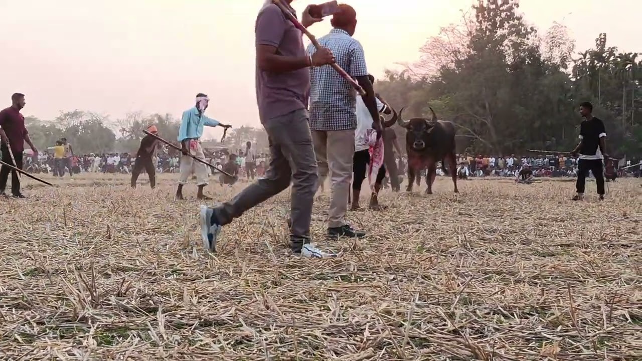 Raja babu vs ruddor hajorika 22/2/2026#subscribe #skjajori #viralvideo 