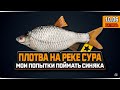 Трофейная рыбалка! Плотва на реке Сура — Русская Рыбалка 4