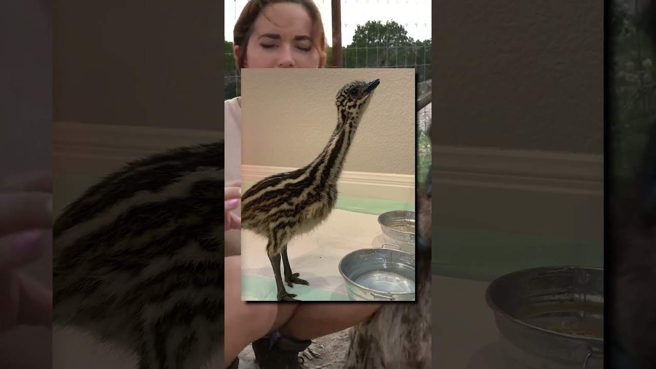 Stompy has grown so much 🥹 