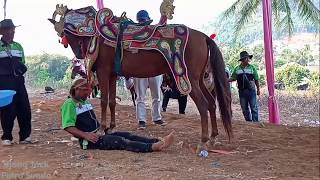 Silat Kuda Renggong Sumedang - Kuda Janaka 2019