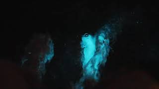 Bioluminescence 2021!
Believe it or not, the bioluminescence is back almost a year later! Its not an annual thing here but coincidentally it happened again about a year after the 6 weeks it happened last year. Bioluminescence 2021!