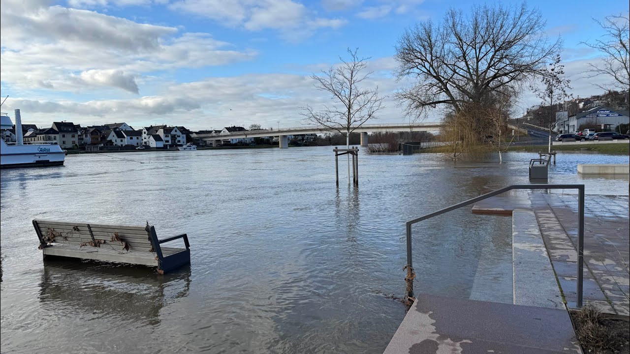 Flood and nature and river and bird at Vallendar, Germany