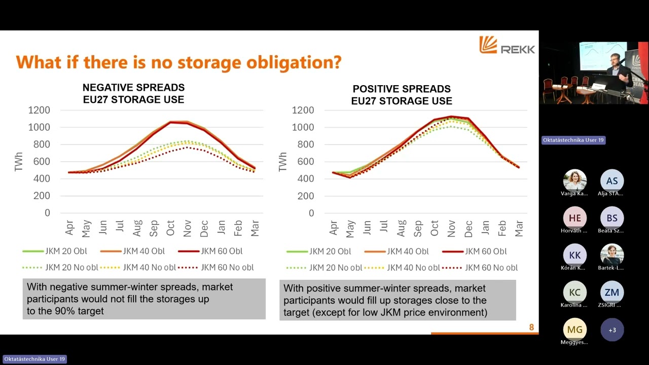 Storage obligation in the EU27: distorting markets or solving a market failure?