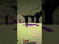 Enderman Slayer is hard...