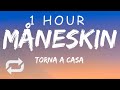 [1 HOUR 🕐 ] Måneskin - Torna a casa (Lyrics)Testo