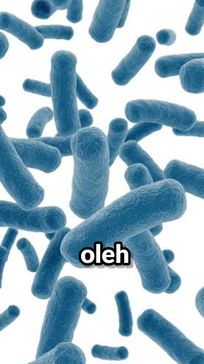 Download lagu Sering Kentut Itu Tanda Tubh Kamu Sehat!💨