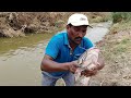 Amazing fish hunting | catching big fishes 🎣  | village fishing