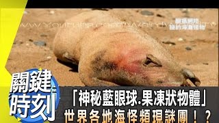 「神秘藍眼球.果凍狀物體」世界各地海怪頻現謎團！？2012年 第1430集 2200 關鍵時刻