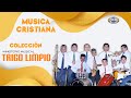 Musica cristiana  coleccion trigo limpio