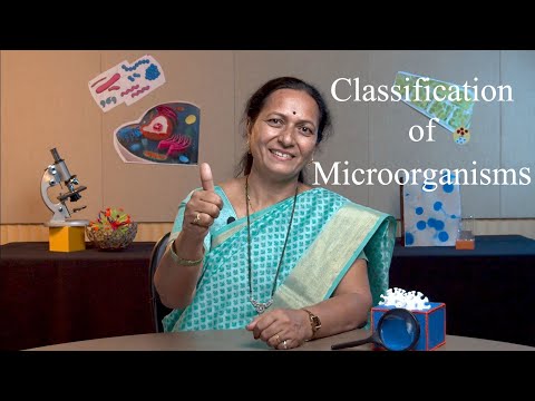 Classification of Microorganisms | Marathi