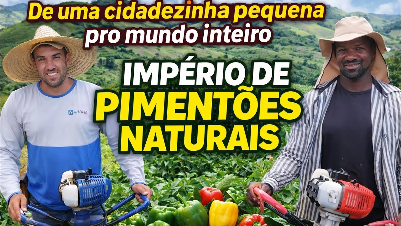 Preparando pro está amento dos pimentões 