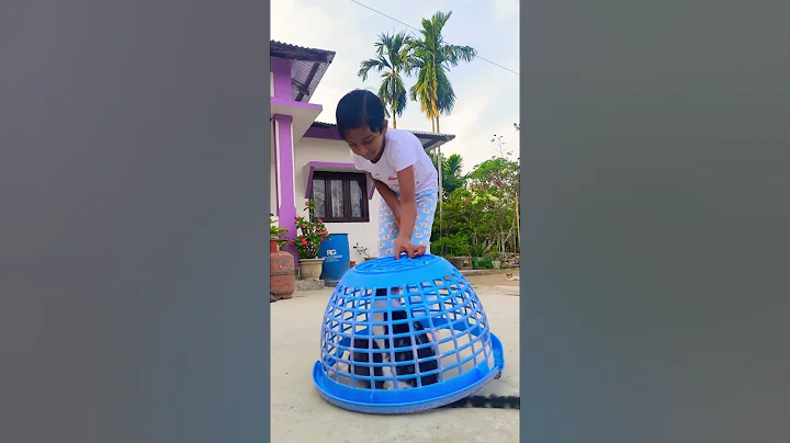 Watch the video about Why 😮 💭 #funny #baby #kitten #love #cute #catvideos #cat #youtubeshorts