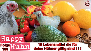 Was dürfen Hühner auf gar keinen Fall essen?