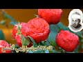 لك لا لغيرك يا الهي أخشع الشيخ محمد عمران