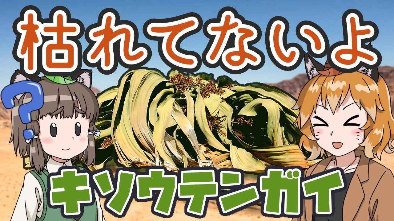 生物の豆知識(生態、古生物、植物)_個人的なピックアップ集