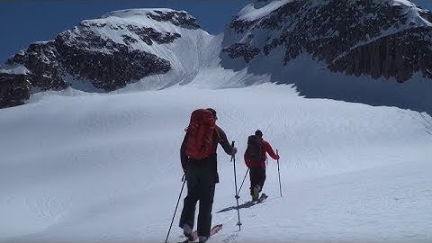 Pace Settting - Joey