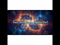 Deep Dive Special Your Life A Static 4D Data File Einstein