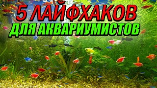 ТОП-5 ЛАЙФХАКОВ для Аквариумиста! + БОНУС!