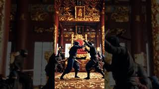 #ninjafight #cat #wandersnap