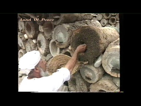 Traditional Beekeeping /