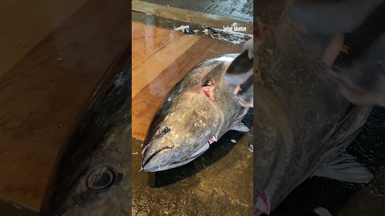 Unbelievable Cut – Sharpest Knife vs 600 lb Tuna ⚡🐟 