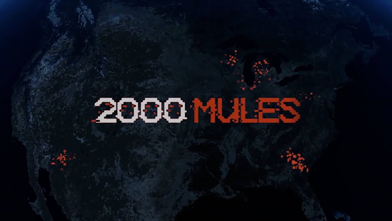 2000 mules movie how to watch online free on youtube - full documentary