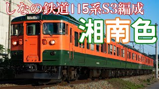 115系S3編成湘南色(ファインダー撮影)