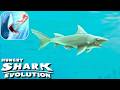 Hungry Shark Evolution Gameplay Walkthrough AndroidiOS 