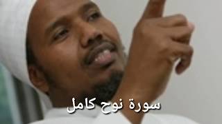 سورة نوح كامل للشيخ عبد الرشيد علي صوفي| 71 |surat Nuh sheikh abdirashid ali sufi screenshot 4