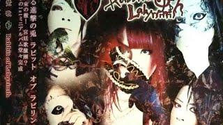 Rabbit of Labyrinth -  伍 蛙鳴蝉奏