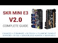 SKR Mini E3 V2.0 - Complete guide to the best value Ender 3 upgrade