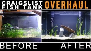 CRAIGSLIST FISH TANK OVERHAUL – 29 GALLON!