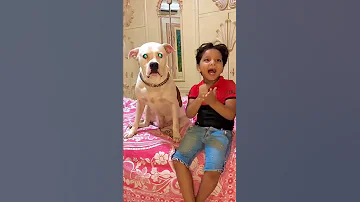 محمد ابن اخويا اشتري كلب وعضني شوفو الي حصل في الاخر 