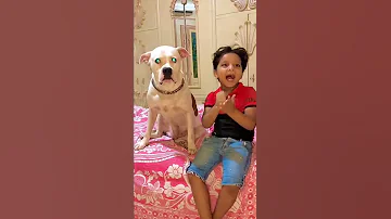 محمد ابن اخويا اشتري كلب وعضني شوفو الي حصل في الاخر 