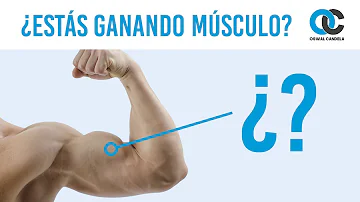 ¿Cómo sabe si está desarrollando músculo?