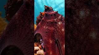 POV: Exploring a Secret Octopus Cave in the Ocean 🐙 #pov #shorts