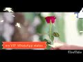 My VIP WhatsApp states Siddhant Tilekar 2018 Whatsapp Status Video Download Free