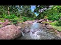 Serene River Flow with Calming Water Sounds Over Boulders in a Peaceful Green Forest
