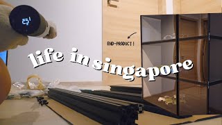 Life in Singapore | Assembling ModuCase, Kamakura Warabi Mochi, Chill Vlog