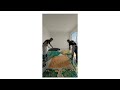 Garage Epoxy Transformation Stunning Epoxy Aquarium Bedroom Floor