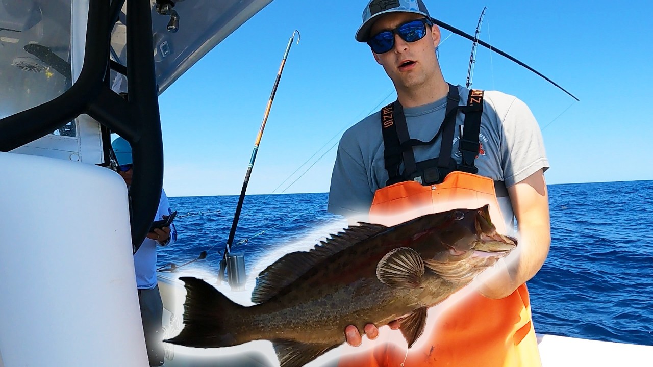 Grouper Fishing at Ocean Isle Beach, NC (BIG SCAMPS)
