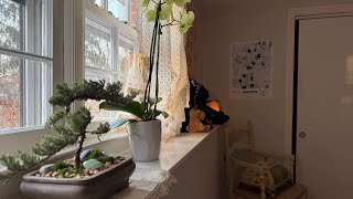Asmr Room Tour ! (giveaway Winner Announced)
