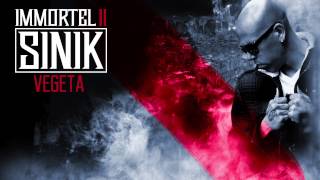 Archives 2015 - SINIK - Vegeta (Son Officiel)