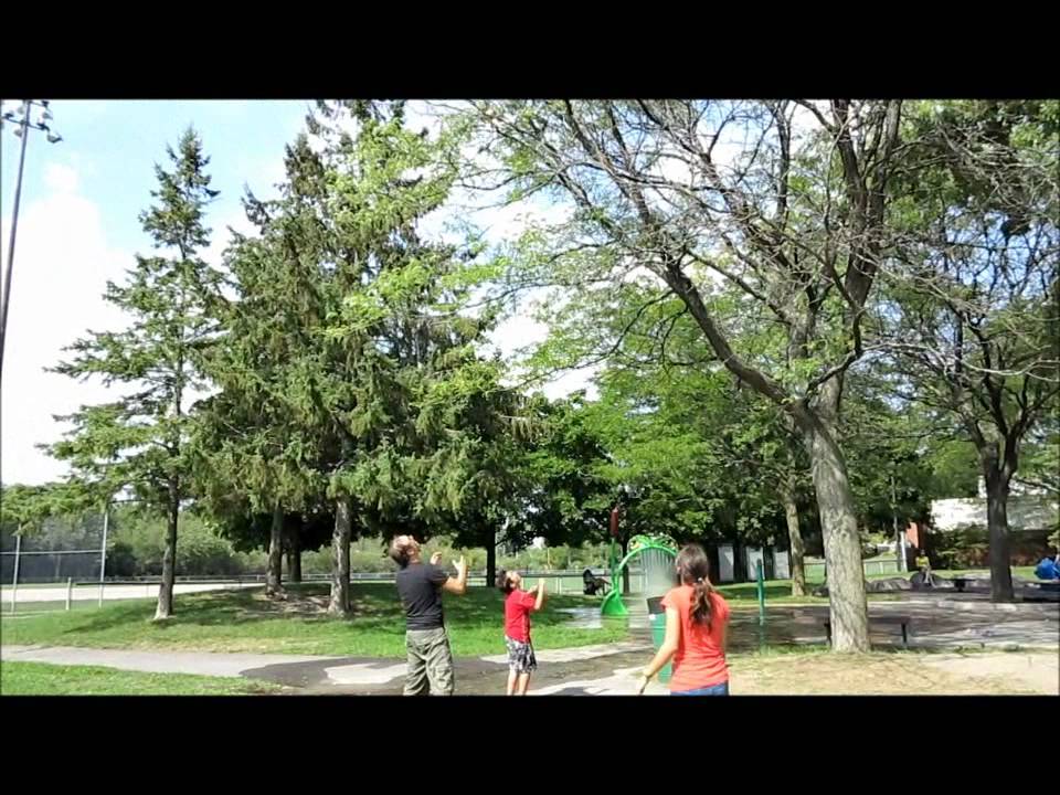 Sparrow! Extreme Catapult Glider!