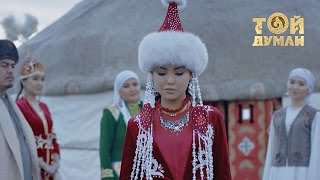 Сара Токтамысова - Ақеркем