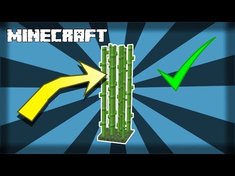 Video: How To Grow Sugarcane In Minecraft