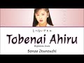 Sanae Jounouchi- Tobenai Ahiru (とべないアヒル) Kan/Rom/English Lyrics